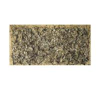 HOLEILUCK Jackson Pollock - Famosas pinturas en lienzo de arte abstracto, impresiones en lienzo grandes, imágenes artísticas de pared Xxl para decoración del hogar, 60x125cm/24x49in sin marco