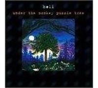 Holi - Under the Monkey Puzzle Tree