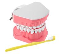 Holibanna 1 Juego Didáctico de Cepillado para Herramienta de Enseñanza Oral para Escuelas y Hogar Construcción Resistente y de Limpiar