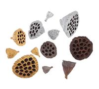 Holibanna 12 Piezas Dried Natural Lotus Seedpod Home Decor DIY Craft Christmas Photo Props For Vase Wedding Party Table Desktop Ornaments
