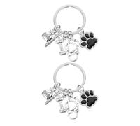 Holibanna 2 llaveros de veterinarios para mascotas, llavero Vet Tech Llavero de pata de mascota llavero médico enfermera, plata, 5.00X3.00X0.50CM
