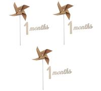 Holibanna 3juegos Accesorios De Fotografía De Recién Nacido Molinete De Props para Sesiones De Fotos Mensuales para Decoración y Recuerdos De Cumpleaños