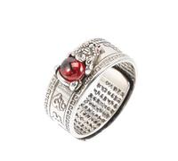 Holibanna Anillo Ajustable Amuleto de Riqueza y Suerte con Diseño Vintage para Hombres y Mujeres Joyería de Dedo Estilo Feng Shui Plata Completa