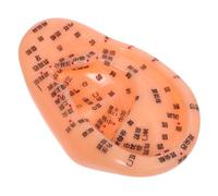 Holibanna De Acupuntura Auricular Para Enseñanza Simulación De Puntos De Acupuntura Oreja Artificial Herramienta De Práctica Para Medicina y Enfermería