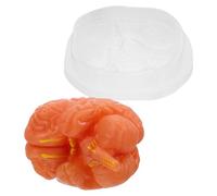 Holibanna Herramienta De Investigación En Psicología Modelo De Función Cerebral Ciencia De La Función Cerebral Herramienta De Aprendizaje De Biología Estudio De Anatomía