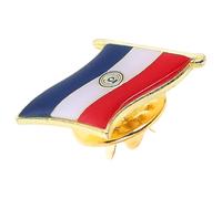 Holibanna Pin Metálico para Solapa Bandera Nacional de Paraguay, Accesorio de Hierro para Trajes y Mochilas en Patrióticos