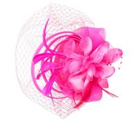 Holibanna Tocado de Novia en Malla Plumas y Clip Desmontable, Diadema Fascinadora Elástica Color Fucsia para Fiesta de Té, Banquete y Bodas, Accesorio para Cabello Mujer Elegante
