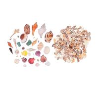 HOLIDYOYO 1juego Decoración De Acuario Conchas Naturales y Caracolas para Ambientar Espacios Marinos para Vasin o Fiesta Temática