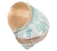 HOLIDYOYO Caracola Natural Mediterránea Decorativa Espécimen de Concha Marina Fluorescente para Acuario y Manualidades Temática Náutica Pieza Única para Colección y Decoración de