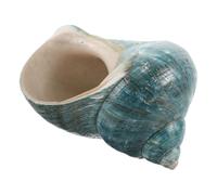 HOLIDYOYO Concha Marina Natural Grande para Decoración Náutica Espécimen de Concha Mediterránea Auténtica Adorno para Peceras y Manualidades Colección Educativa Temática Oceánica