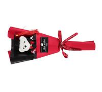 HOLIDYOYO Ramo De Ositos De Graduación Muñeco De Peluche Idea De para Niños Y Niñas