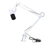 Holigie Micrófono, juegosUSBPC,DynRGBNoiseCancelCondMuteSwitchBoomArmStreamPodcast (White)