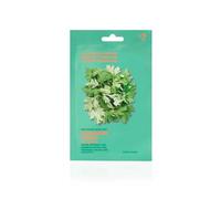 Holika Holika Pure Essence Mask Sheet Artemisa 20 ml
