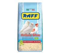 Holland White Raff Pasta de Cría para Canarios 1kg, 4kg, 20kg Pasta sin colorantes para canarios y especies de pájaros granívoros.