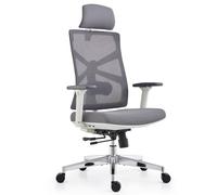 HOLLUDLE Silla de Oficina Ergonómica con Respaldo Adaptativo, Mesa y Silla de Escritorio de Alto Respaldo con Reposabrazos 4D, Profundidad de Asiento Ajustable, Soporte Lumbar y Reposacabezas 2D