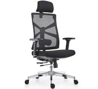 HOLLUDLE Silla de Oficina Ergonómica con Respaldo Adaptativo, Silla de Escritorio de Alto Respaldo con Reposabrazos 4D, Profundidad de Asiento Ajustable, Soporte Lumbar y Reposacabezas 2D, Negro