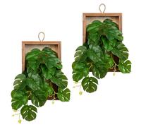 Hollyone 2 plantas artificiales colgantes con marco de madera, plantas falsas de doble uso, plantas de interior falsas, vegetación para escritorio, baño, pared de dormitorio, decoración de cocina