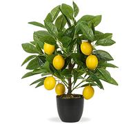 Hollyone Árbol de Limón Artificial, Planta de Plástico de 40 cm en Maceta Negra, Plantas Artificiales de Interior con Ramas de Limón y Frutos de Limón para la Decoración del Hogar