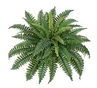 Hollyone Helechos artificiales de 25.6 pulgadas para exteriores, ramo de helecho Boston falso, planta grande para interiores, decoración del hogar, alféizar de ventana, decoración de jardín, granja,