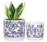 Hollyone Juego de 2 macetas de cerámica azul y blanco, macetas redondas de cerámica con agujeros de drenaje y posavasos, maceta pequeña retro para cactus suculentas, jardín al aire libre