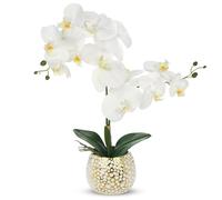 Hollyone Orquídeas artificiales blancas Phalaenopsis Planta Artificial Decoración Orquídea Flores Artificiales en Oro Maceta de Cerámica con Real Touch Flores Orquídeas Falsas Bonsái Artificial para