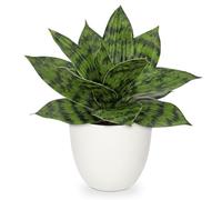 Hollyone Planta artificial de serpiente de interior, planta artificial Sansevieria pequeña, falsa planta decorativa para mesa, hogar, oficina, decoración, verde