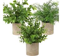 Hollyone Plantas artificiales en maceta, plantas artificiales pequeñas como reales, 3 unidades de escritorio, plantas artificiales, mini para decoración de mesa, hogar, balcón, oficina, decoración #1