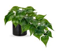 Hollyone Plantas artificiales en macetas de cerámica, plantas decorativas de jade falso, plantas de interior realistas para decoración del hogar, baño, sala de estar, cocina, estante, decoración de