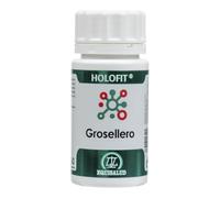 Equisalud Holofit Grosellero – 60 cápsulas