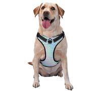 Holograma de Colores del Arco Iris Colorido holográfico,Arnés para Mascotas, arnés Reflectante Ajustable para Perros,XL