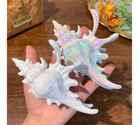 Holographic Conch Shape Hair Claws,5" Large Non-Slip Shell Clips, Colorful Mermaid Hair Clamps for Thick & Thin Hairs, All-Day Hold,Summer Beach Accessories Gift for Girls (Set of 2)