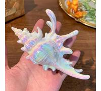 Holographic Conch Shape Hair Claws,5" Large Non-Slip Shell Clips, Colorful Mermaid Hair Clamps for Thick & Thin Hairs, All-Day Hold,Summer Beach Accessories Gift for Girls (Colorful)