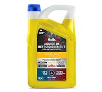 Holts HAFR0004B - Refrigerante anticongelante Renault Dacia Tipo D con Boquilla de 10 años de Vida útil de 300 k Millas de duración, protección a -25 °C, Amarillo, 5 litros