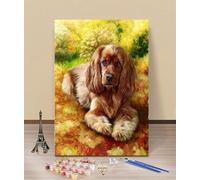 HOLXSW Pintar por Numeros Adultos Cachorro Golden Retriever DIY Pintura por Numeros Cuadros para Pintar por Numeros Kit con Pinceles y Pinturas Acrilicos 40x50cm