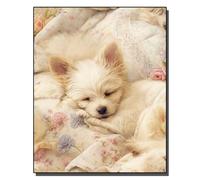 HOLXSW pintar por numeros para adultos Dulces sueños en la almohada Kits de regalo de pintura al óleo digital de bricolaje arte de lienzo decoración del hogar -16 * 20 pulgadas Sin marco