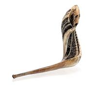 Holy Voice Cuerno kosher Ram Shofar de Israel de 14 a 16 pulgadas tradicional medio pulido, instrumento musical judío antiguo de Tierra Santa, boquilla suave para soplar fácilmente, sonido claro
