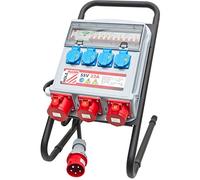 Holzmann - Cuadro de obra