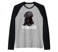 Hombre Chocolate Lab Dad The Lab Padre Labrador Retriever Puppy Camiseta Manga Raglan
