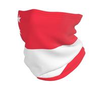Hombre Mujer Bandera Singapur Gaiter Cuello Secado Rápido Escudo Facial Bufanda Tubular Multifuncional Bandera Prenda Cabeza Para Fútbol Pesca Carrera