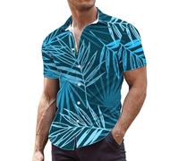 Hombres Camisa de Lino Slim Fit Henley Shirts Verano Elegante Casual Mangas Largas Camisas Playa Regular Fit Hombres Color Puro Clásico Trabajo Camisetas de Lino Fresco, J-cielo azul, Small
