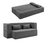 HOMCOM 2-Plazas Sofá Cama con reposabrazos Anchos 2 Cojines Gris