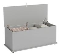 HOMCOM Baúl Grande 113L Caja para Mantas 100x40x40cm, Gris