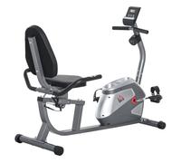 HOMCOM Bicicleta Estática Reclinada con Pantalla LCD y Volante de Inercia de 3 kg Resistencia Magnética 121,5-136x62,5x98 cm Gris Aosom España