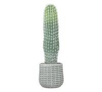 HOMCOM Cactus Artificial 66 cm, Planta Artificial Decorativa con Maceta, para Decoración del Interior, Hogar, Oficina, Salón, Verde