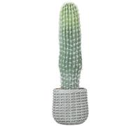 HOMCOM Cactus Artificial 66 cm, Planta Artificial Decorativa con Maceta, para Decoración del Interior, Hogar, Oficina, Salón, Verde