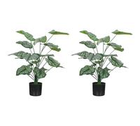 HOMCOM Conjunto de 2 Plantas Artificiales Decorativas 65 cm Plantas Artificiales con Maceta y Hojas para Interior Hogar Salón Oficina Verde