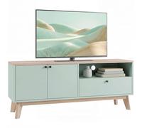 HOMCOM Mueble TV 120 cm, mueble de TV de hasta 36 pulgadas con 2 puertas, cajón, compartimento abierto y estante ajustable, estilo moderno, banco de TV para salón, dormitorio, verde claro