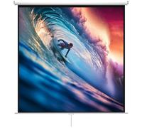 HOMCOM Pantalla de Proyector Manual 120 Pulgadas Pantalla de Proyección Portátil Formato 1:1 para Interior y Exterior Cine en Casa Patio 207x207 cm Blanco