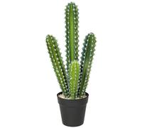 HOMCOM Planta Artificial de Cactus de 53 cm, Plantas Artificiales en Maceta, Cactus de Columna, Planta Falsa como Real para el hogar, Oficina, Regalos de inauguración de la casa, decoración