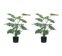 HOMCOM Plantas Artificiales Decorativas 65 cm Plantas Artificiales con Maceta y Hojas para Interior Verde